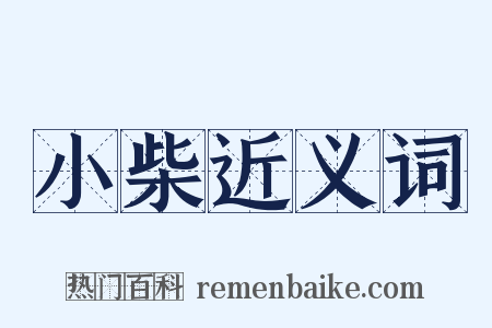 小柴近义词是什么意思的图片
